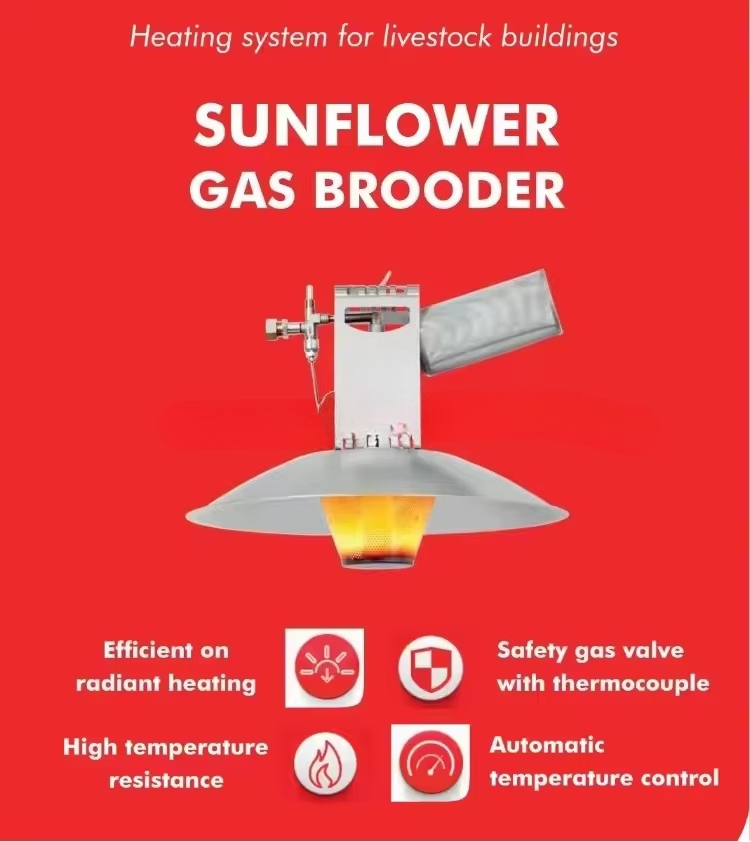 High Quality Damley Sunflower  - Sports Equipment Air China review and price